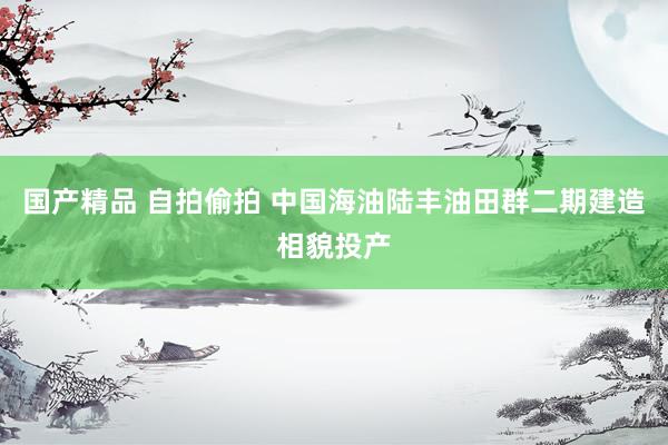 国产精品 自拍偷拍 中国海油陆丰油田群二期建造相貌投产