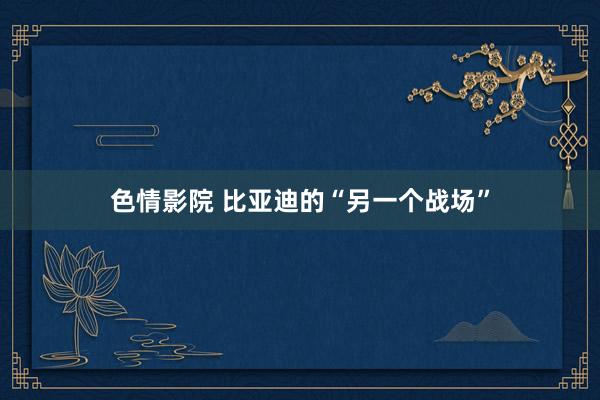 色情影院 比亚迪的“另一个战场”