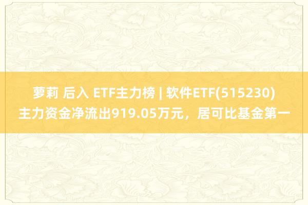 萝莉 后入 ETF主力榜 | 软件ETF(515230)主力资金净流出919.05万元，居可比基金第一