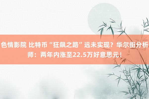 色情影院 比特币“狂飙之路”远未实现？华尔街分析师：两年内涨至22.5万好意思元！