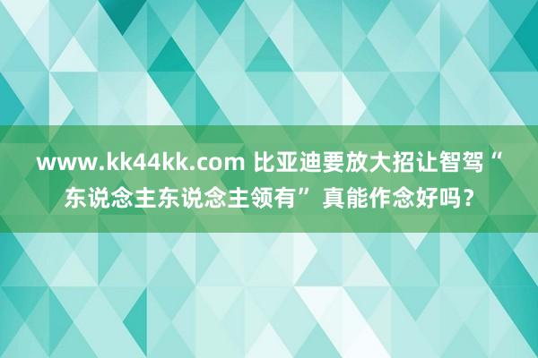 www.kk44kk.com 比亚迪要放大招让智驾“东说念主东说念主领有” 真能作念好吗？