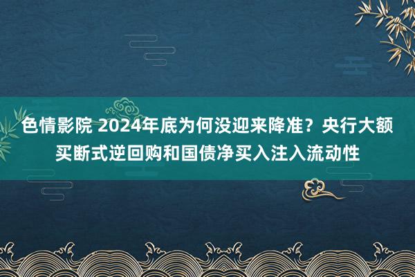 色情影院 2024年底为何没迎来降准？央行大额买断式逆回购和国债净买入注入流动性