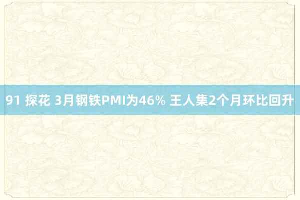 91 探花 3月钢铁PMI为46% 王人集2个月环比回升